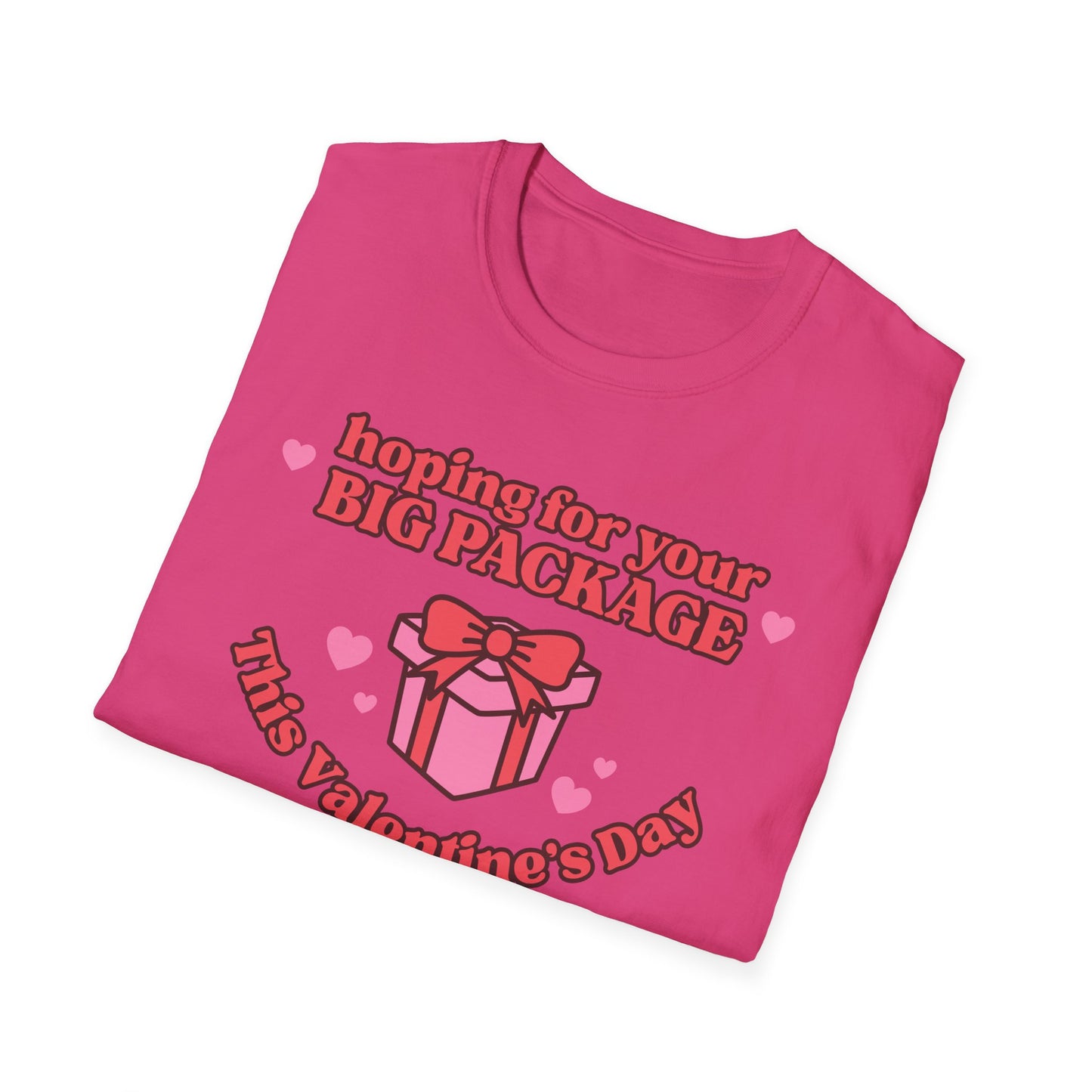 Hoping For Your Big Package T-Shirt