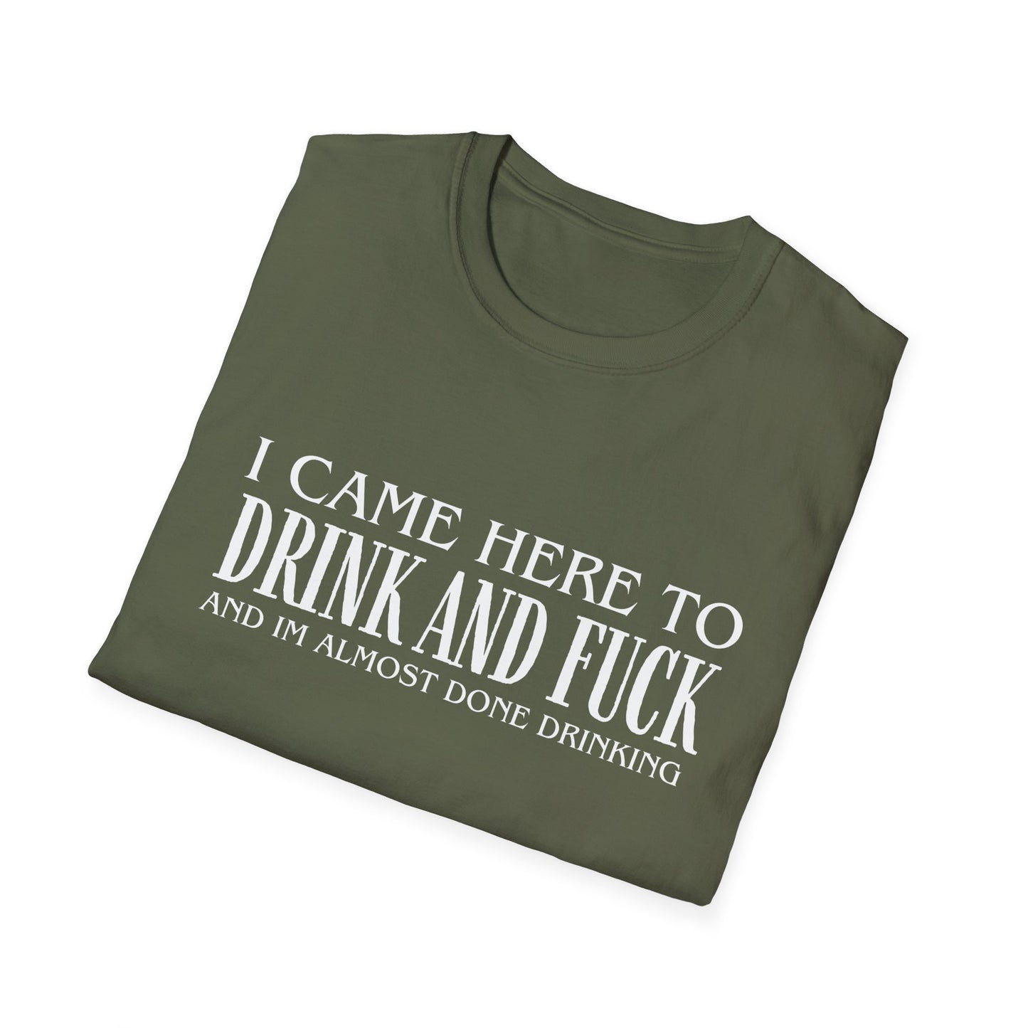I Came Here to Drink and Fuck T-Shirt