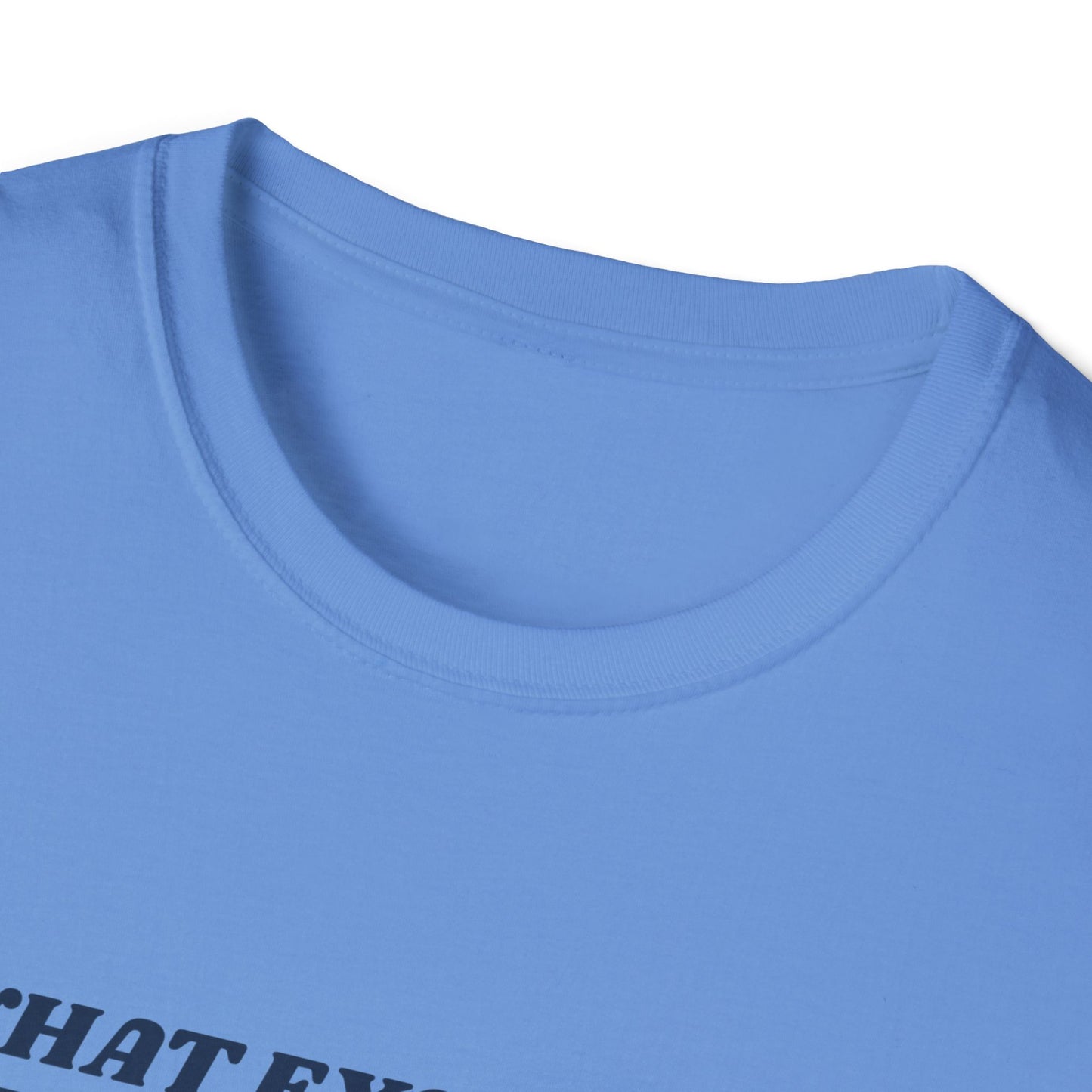 Pride and Prejudice "What Excellent Boiled Potatoes" T-Shirt