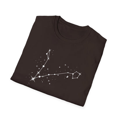 Pisces Zodiac Constellation T-Shirt