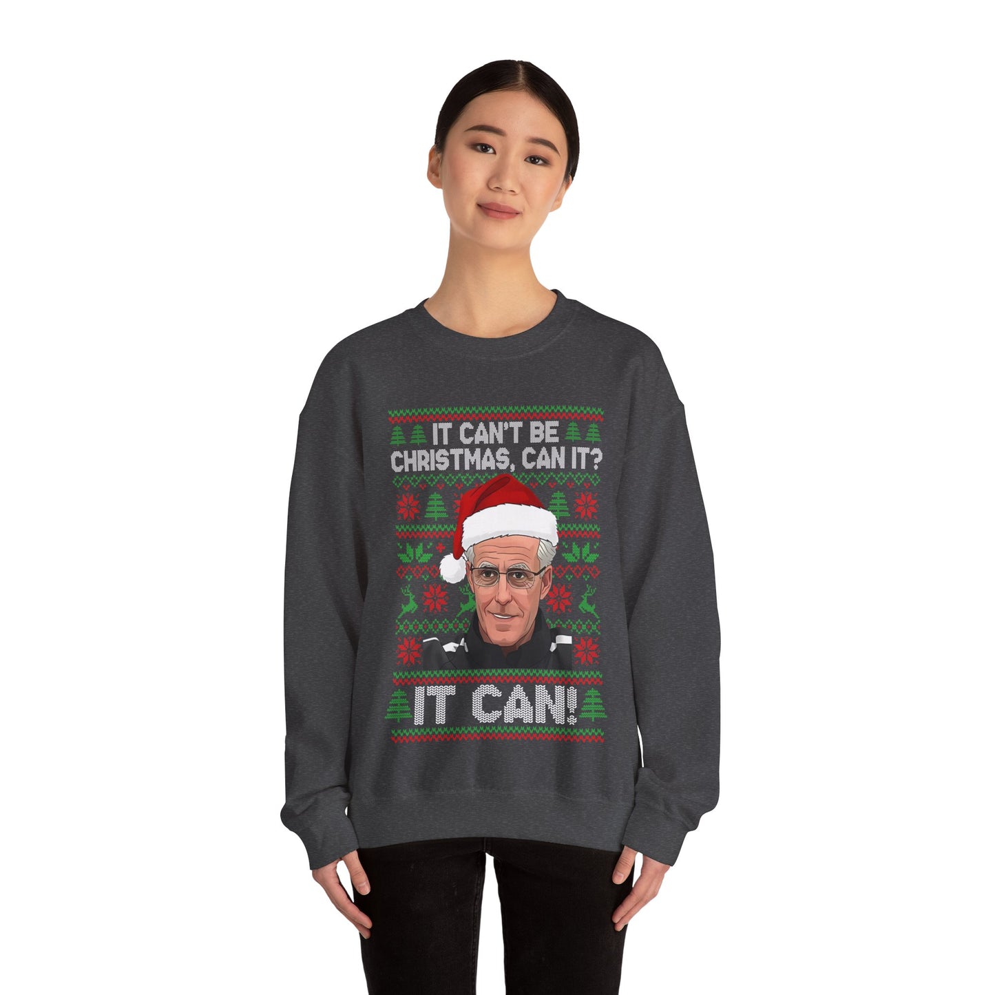 It Can't Be Christmas Can It? Football Christmas Jumper
