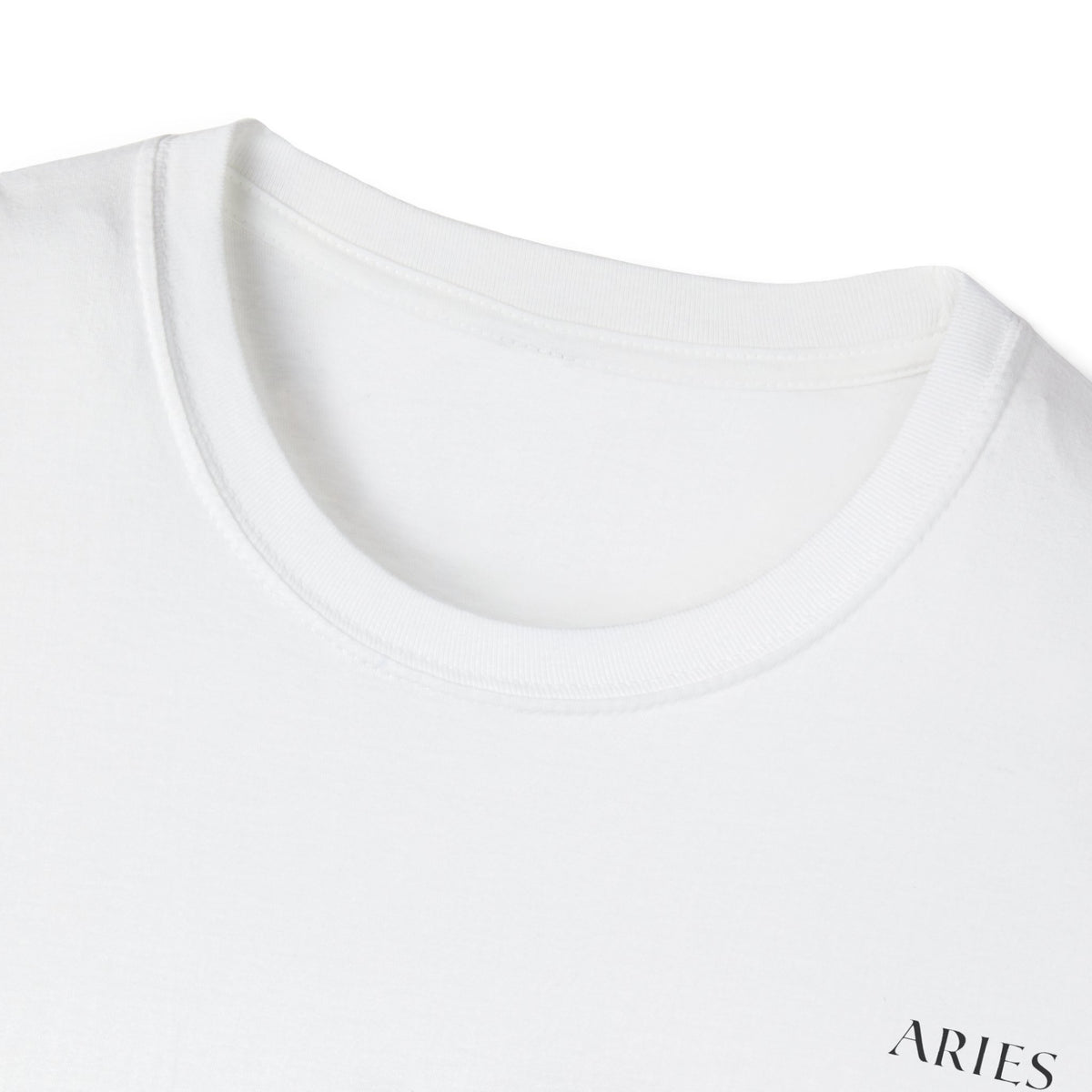 Aries Graphic T-Shirt (Back)