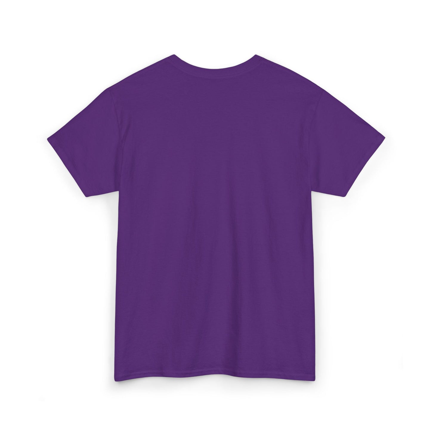 Pride and Prejudice Pemberley Varsity T-Shirt