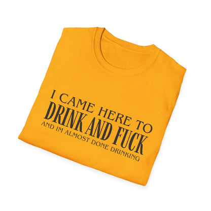 I Came Here to Drink and Fuck T-Shirt