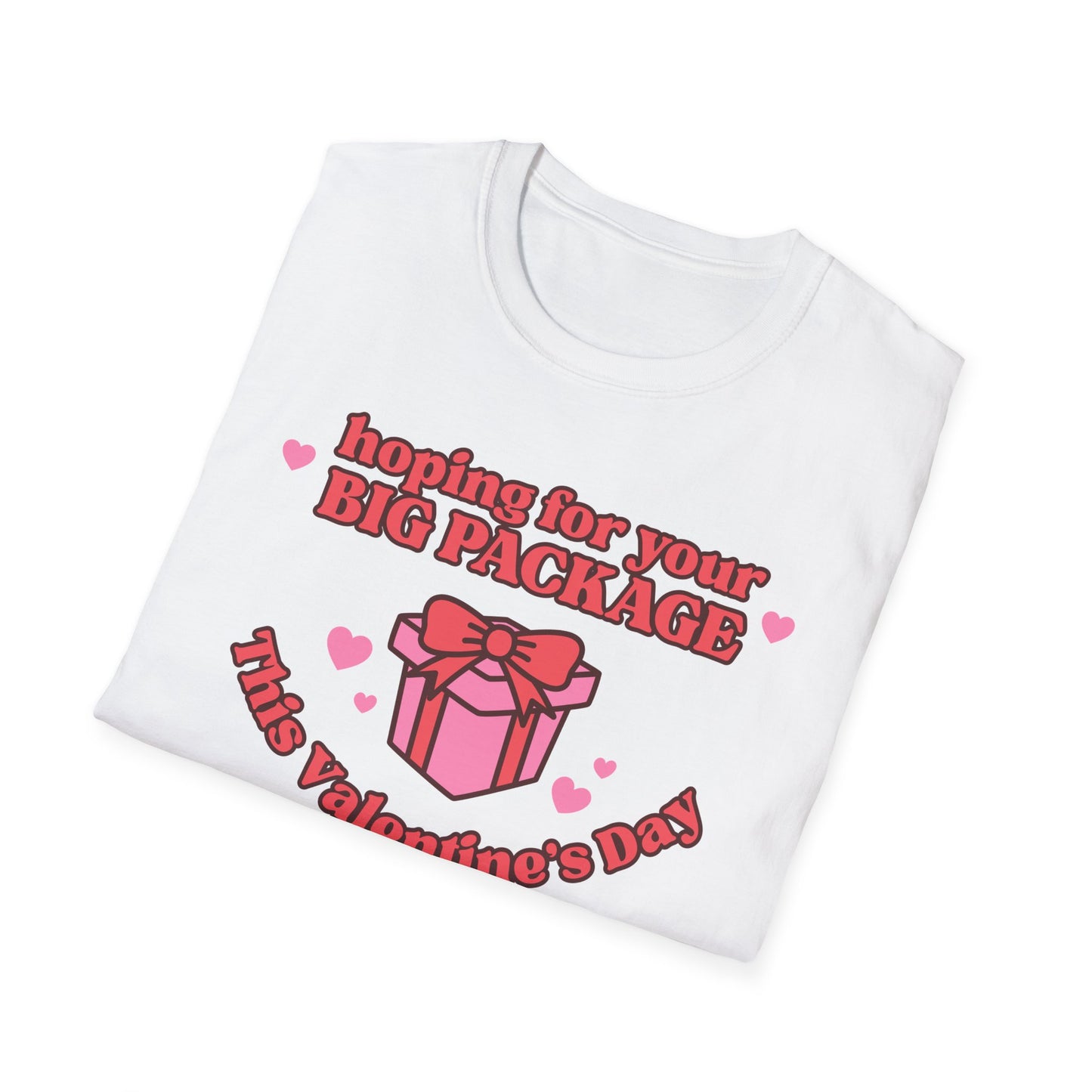 Hoping For Your Big Package T-Shirt