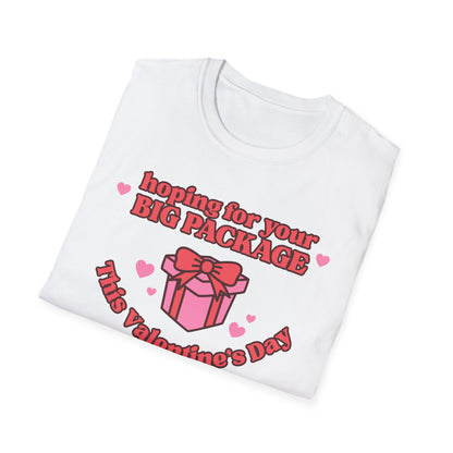 Hoping For Your Big Package T-Shirt