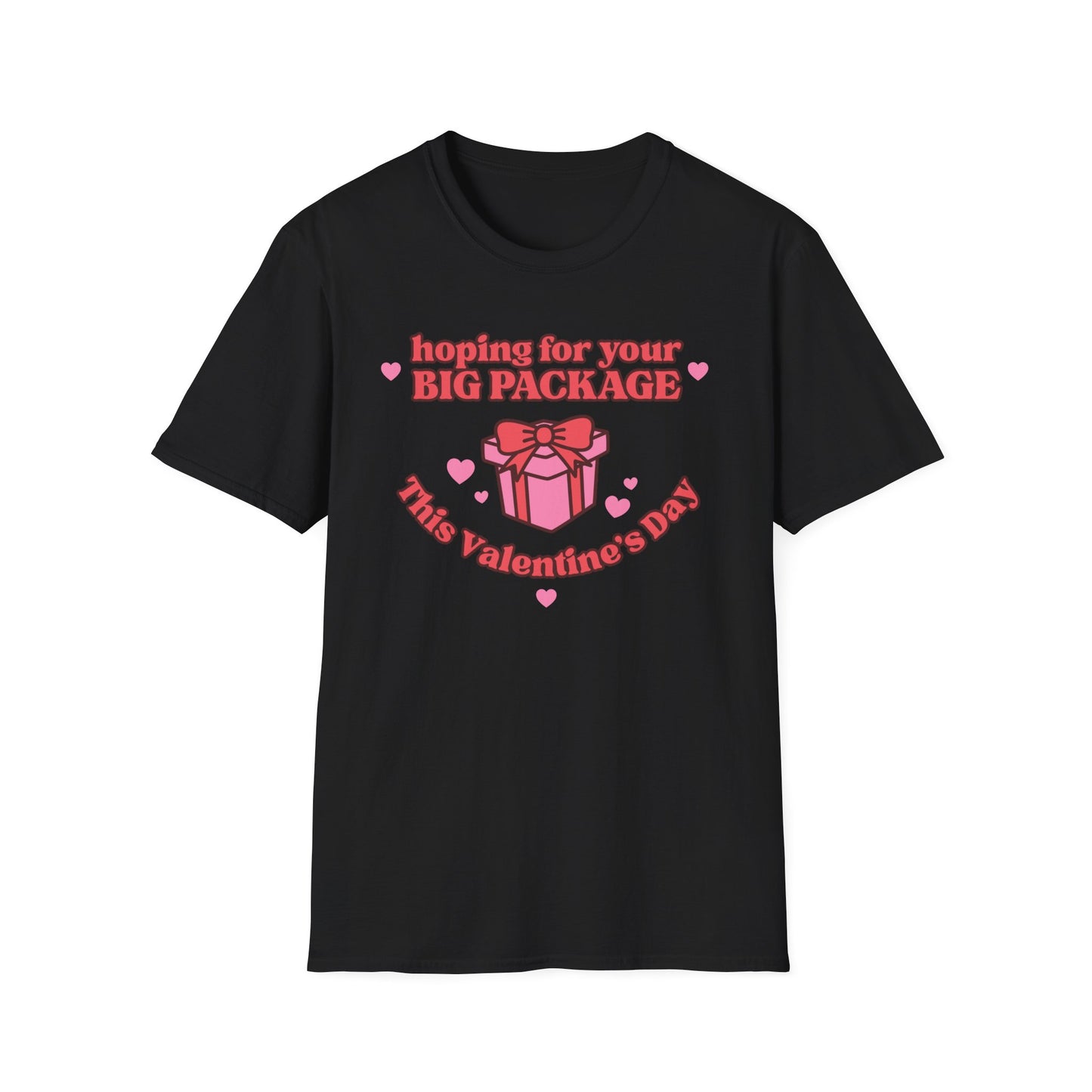 Hoping For Your Big Package T-Shirt