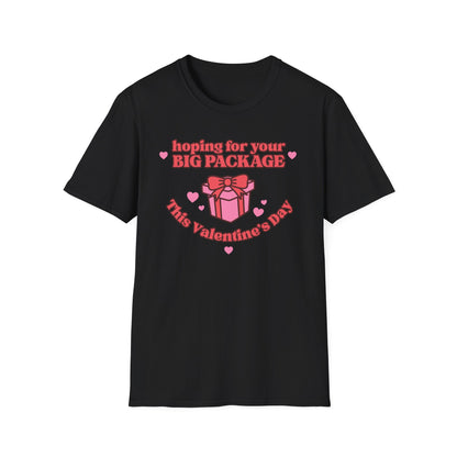 Hoping For Your Big Package T-Shirt
