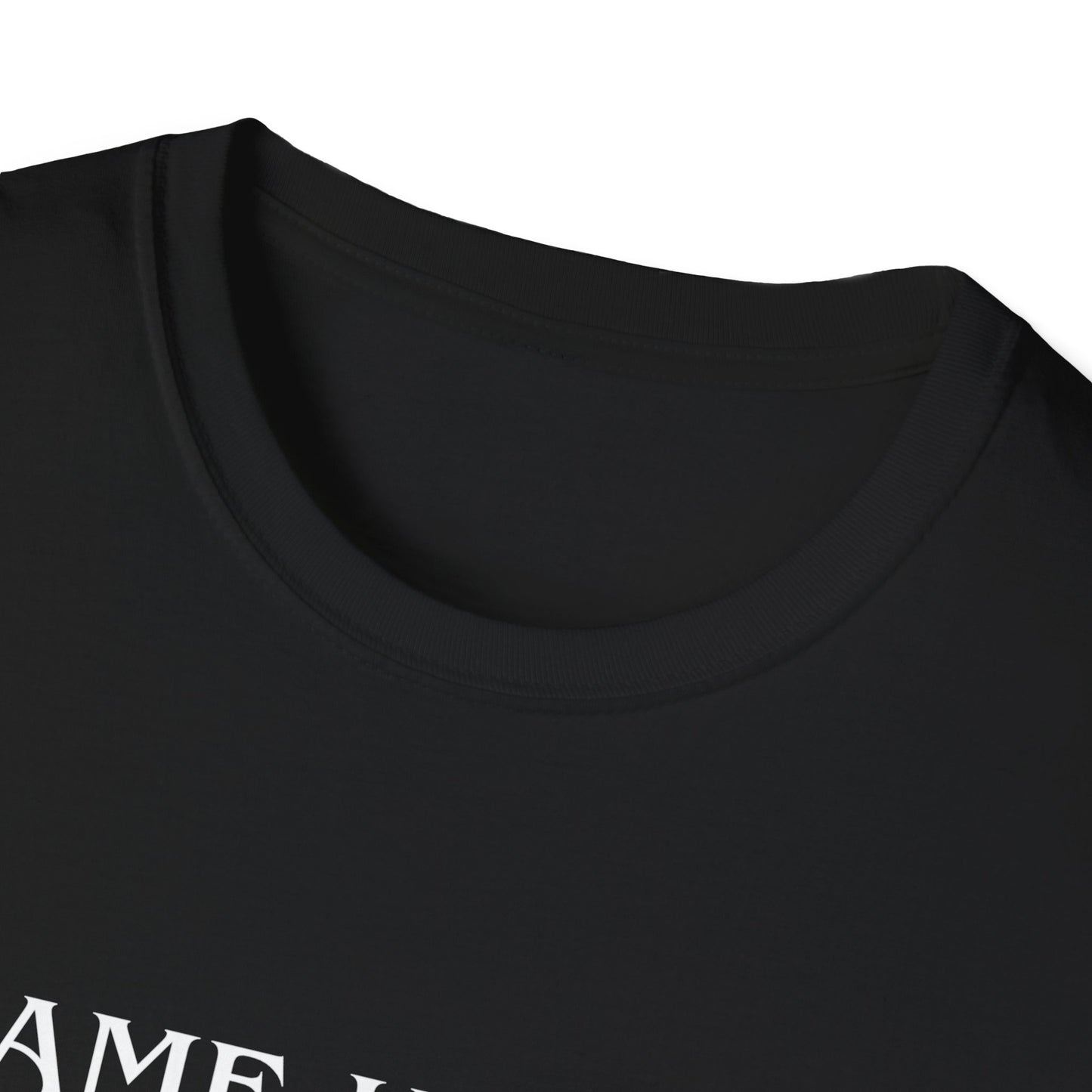I Came Here to Drink and Fuck T-Shirt
