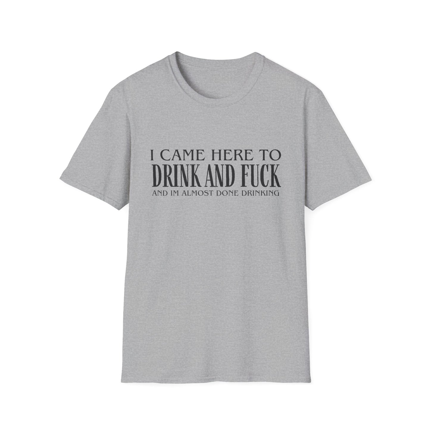 I Came Here to Drink and Fuck T-Shirt