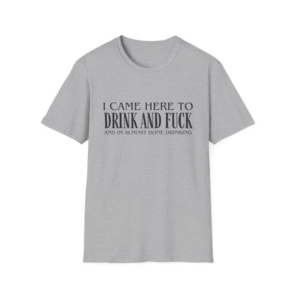 I Came Here to Drink and Fuck T-Shirt