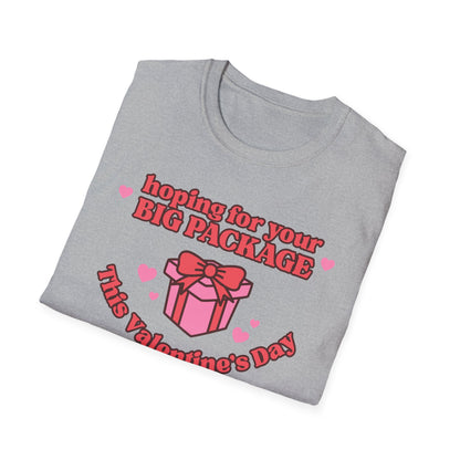 Hoping For Your Big Package T-Shirt