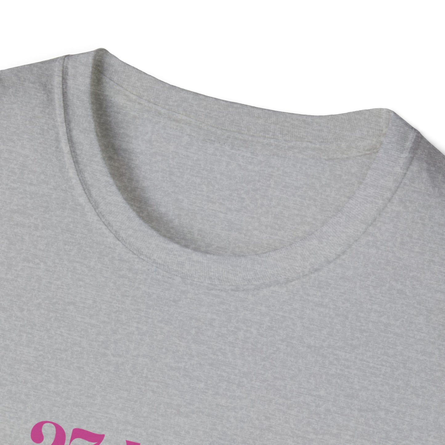 Pride and Prejudice "No Money No Prospects" Quote T-Shirt