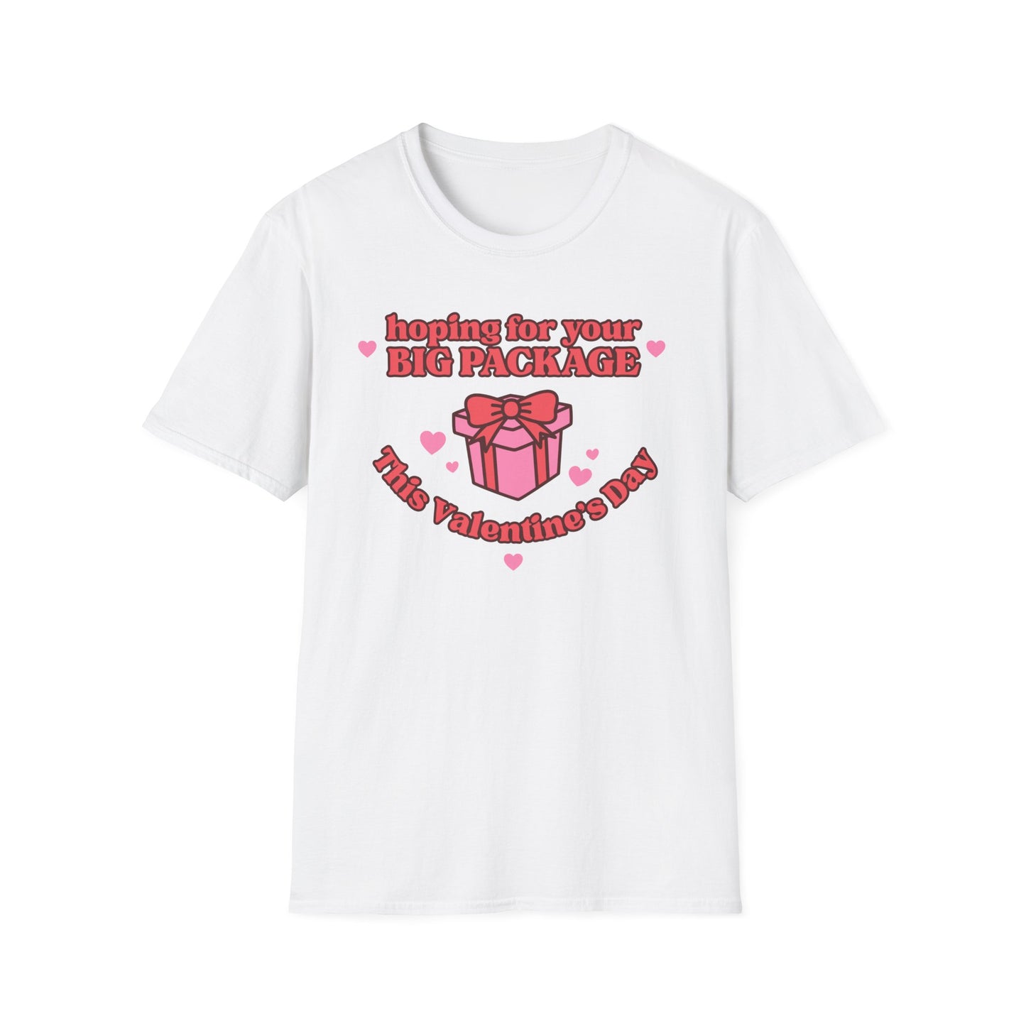 Hoping For Your Big Package T-Shirt