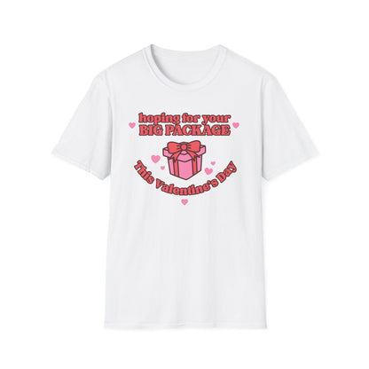 Hoping For Your Big Package T-Shirt