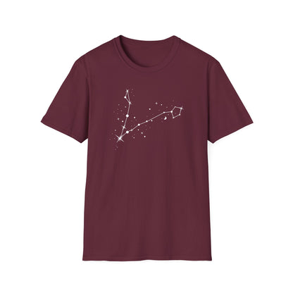 Pisces Zodiac Constellation T-Shirt