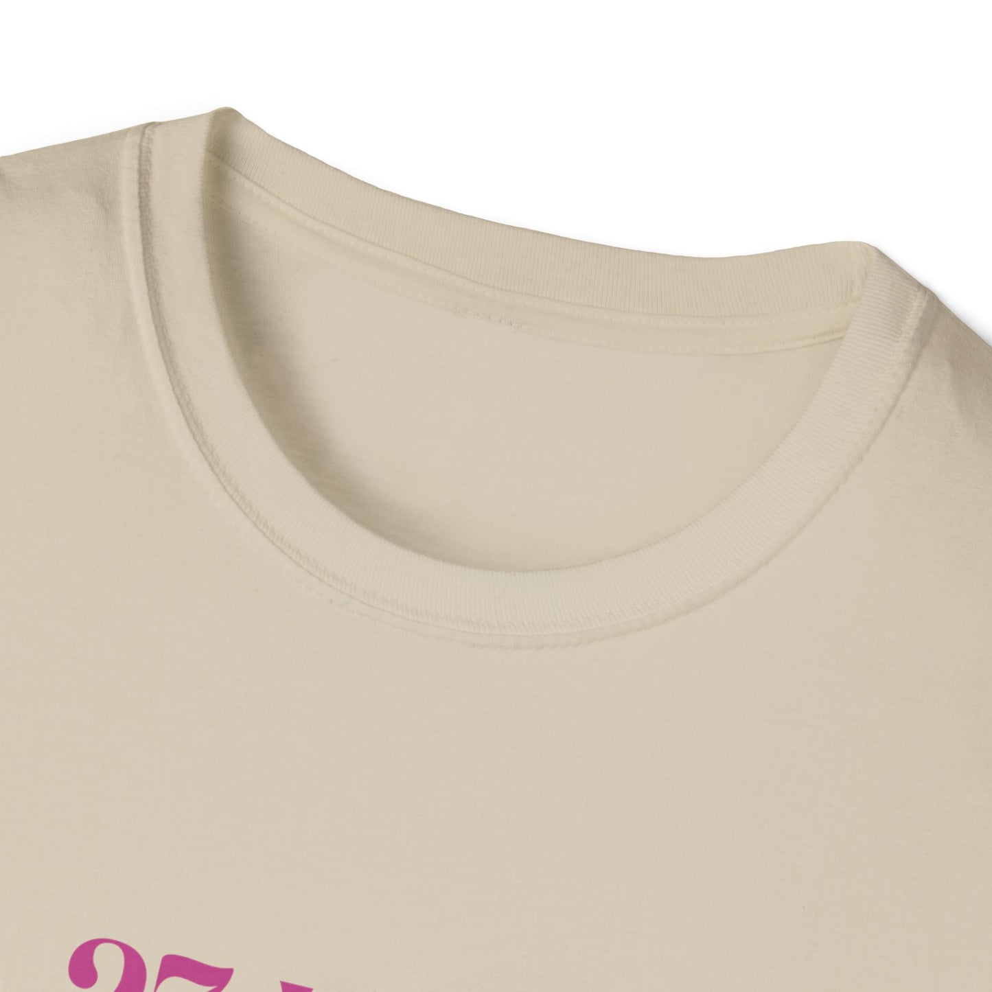 Pride and Prejudice "No Money No Prospects" Quote T-Shirt