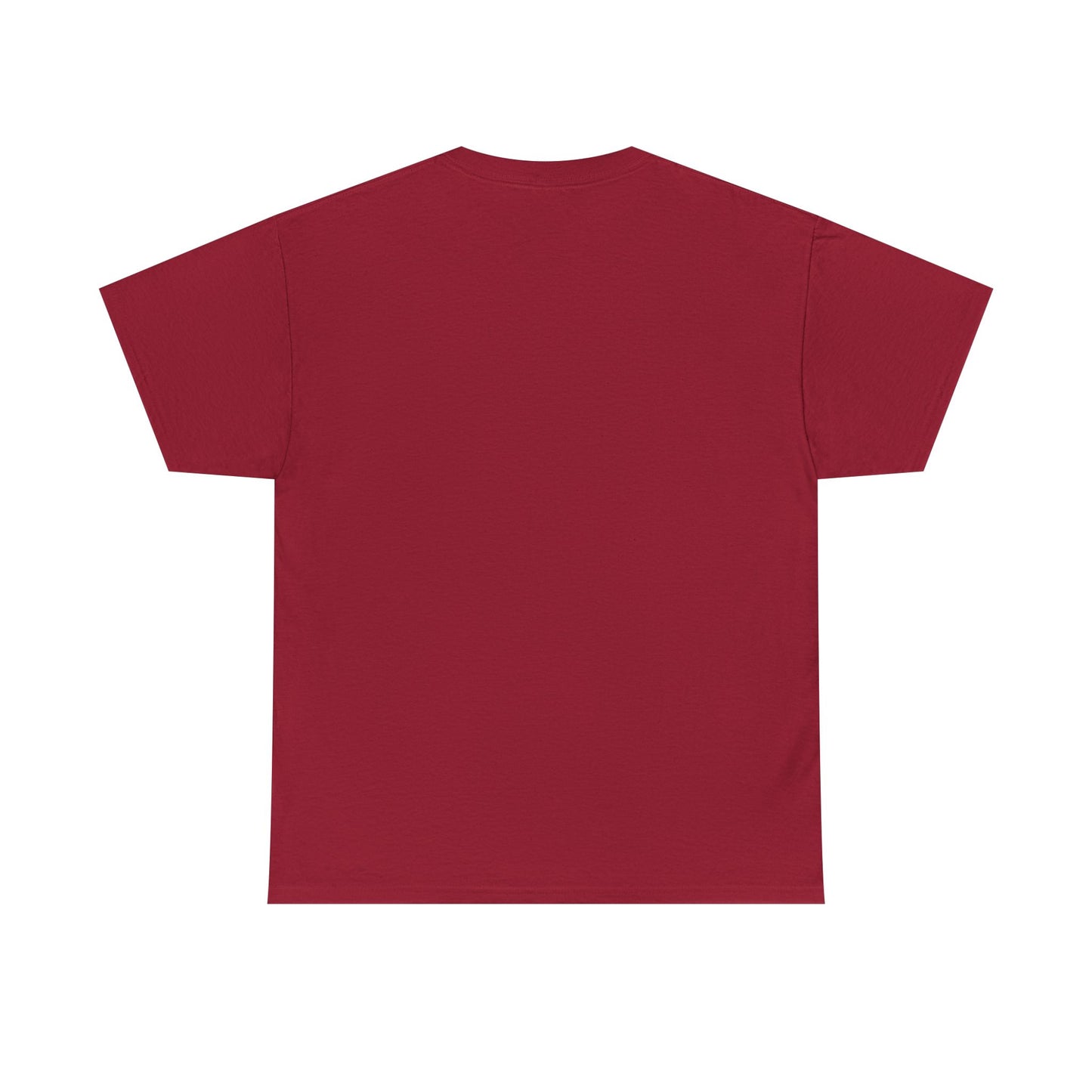 Pride and Prejudice Pemberley Varsity T-Shirt