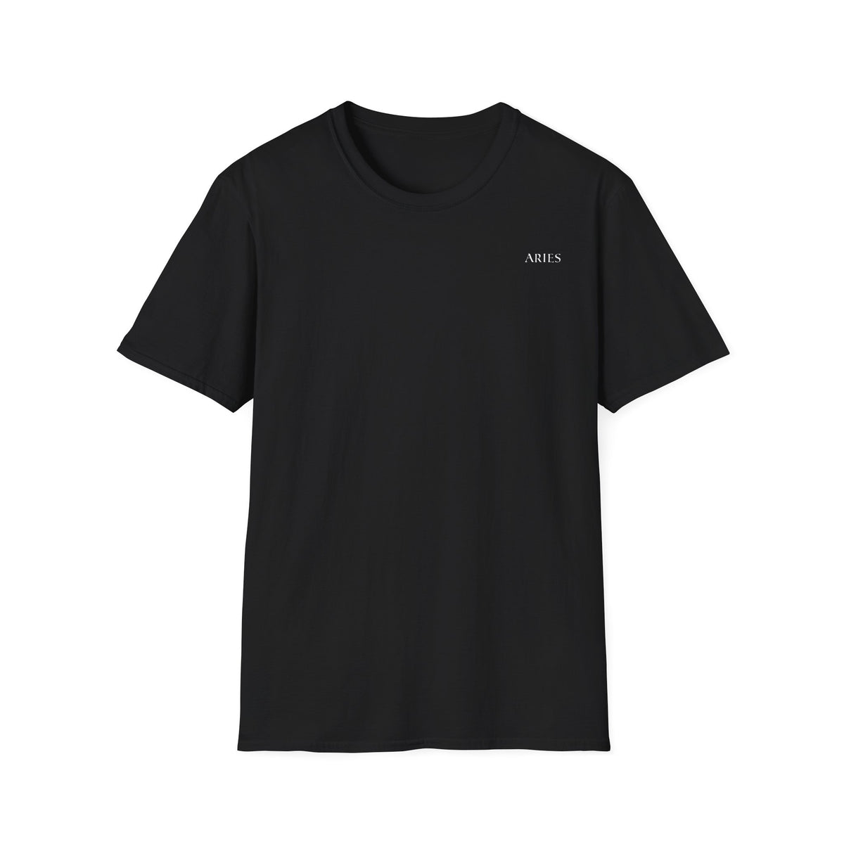 Aries Graphic T-Shirt (Back)