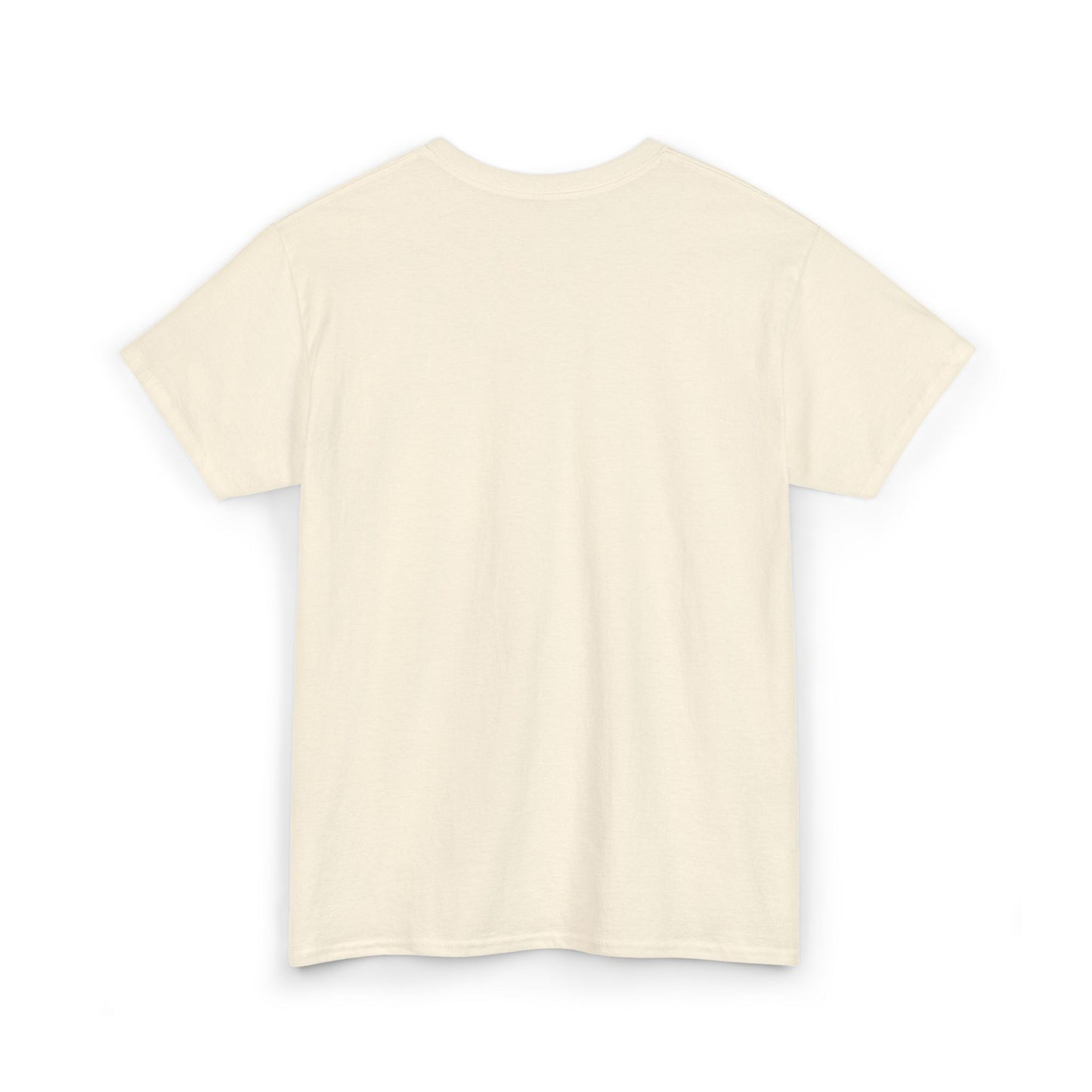 Pride and Prejudice Pemberley Varsity T-Shirt