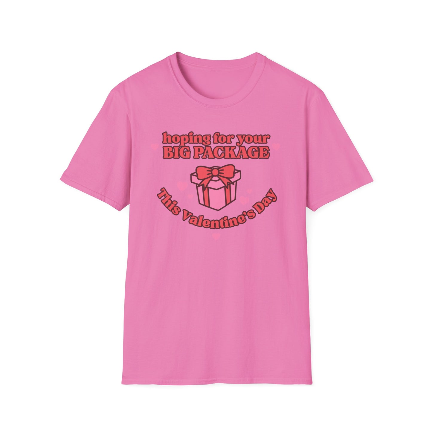 Hoping For Your Big Package T-Shirt