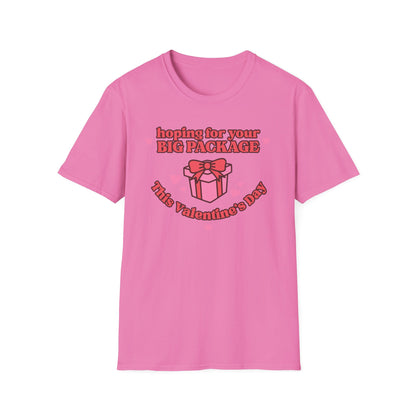 Hoping For Your Big Package T-Shirt