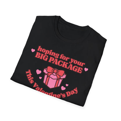 Hoping For Your Big Package T-Shirt