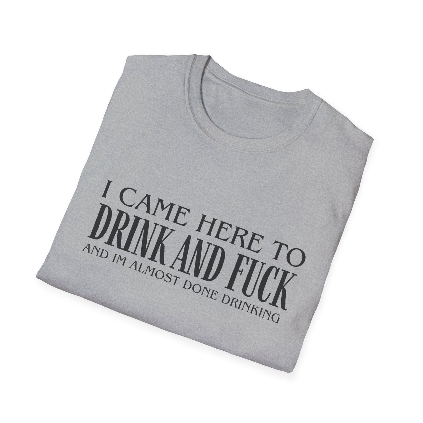 I Came Here to Drink and Fuck T-Shirt