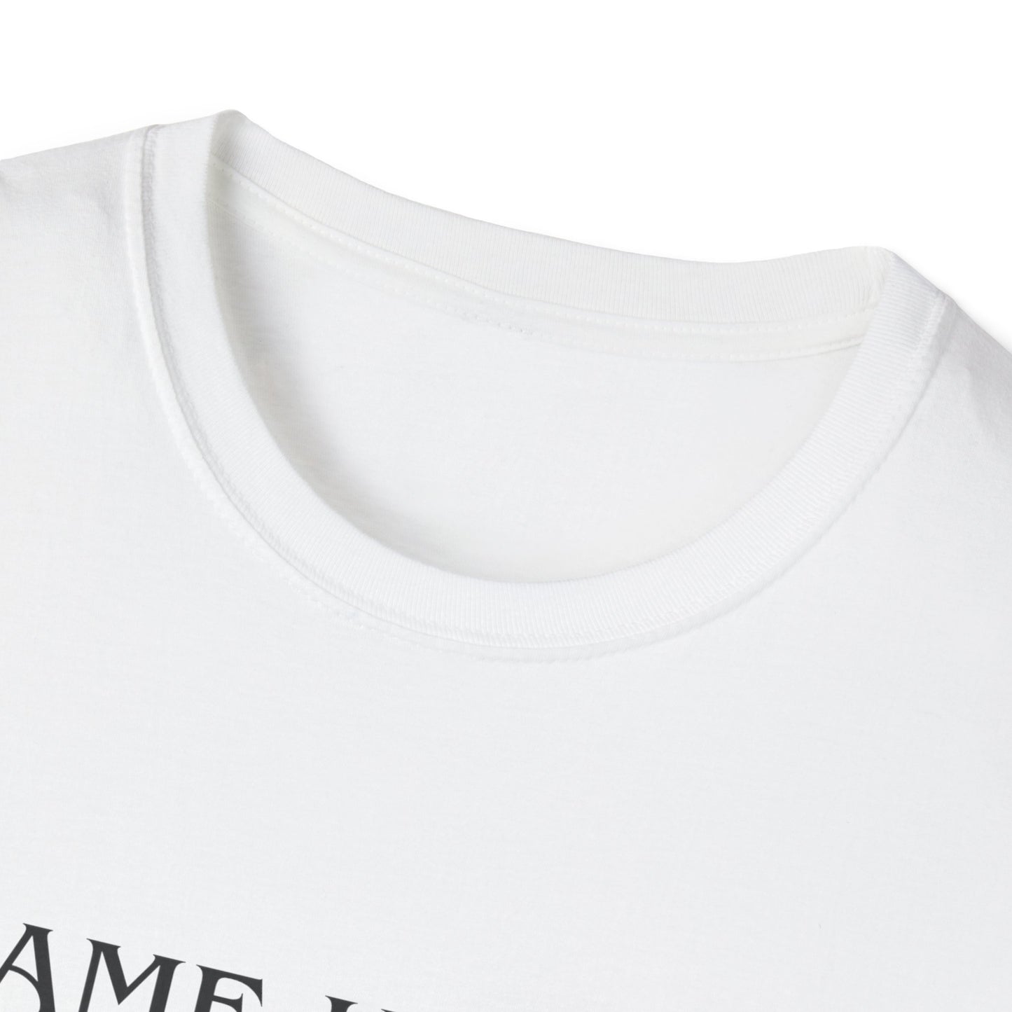 I Came Here to Drink and Fuck T-Shirt