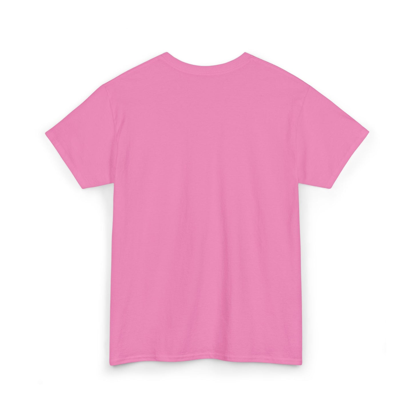 Pride and Prejudice Pemberley Varsity T-Shirt