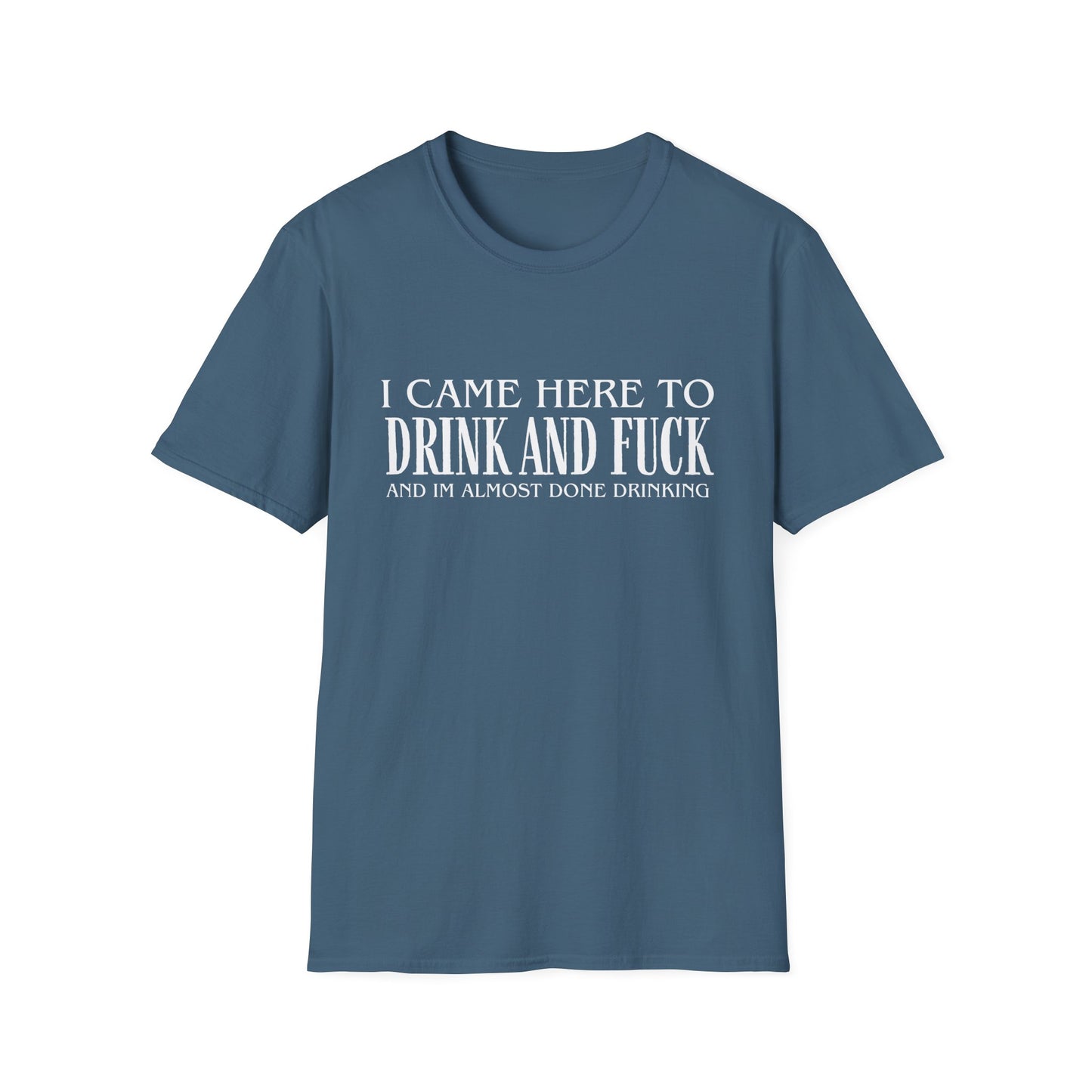 I Came Here to Drink and Fuck T-Shirt