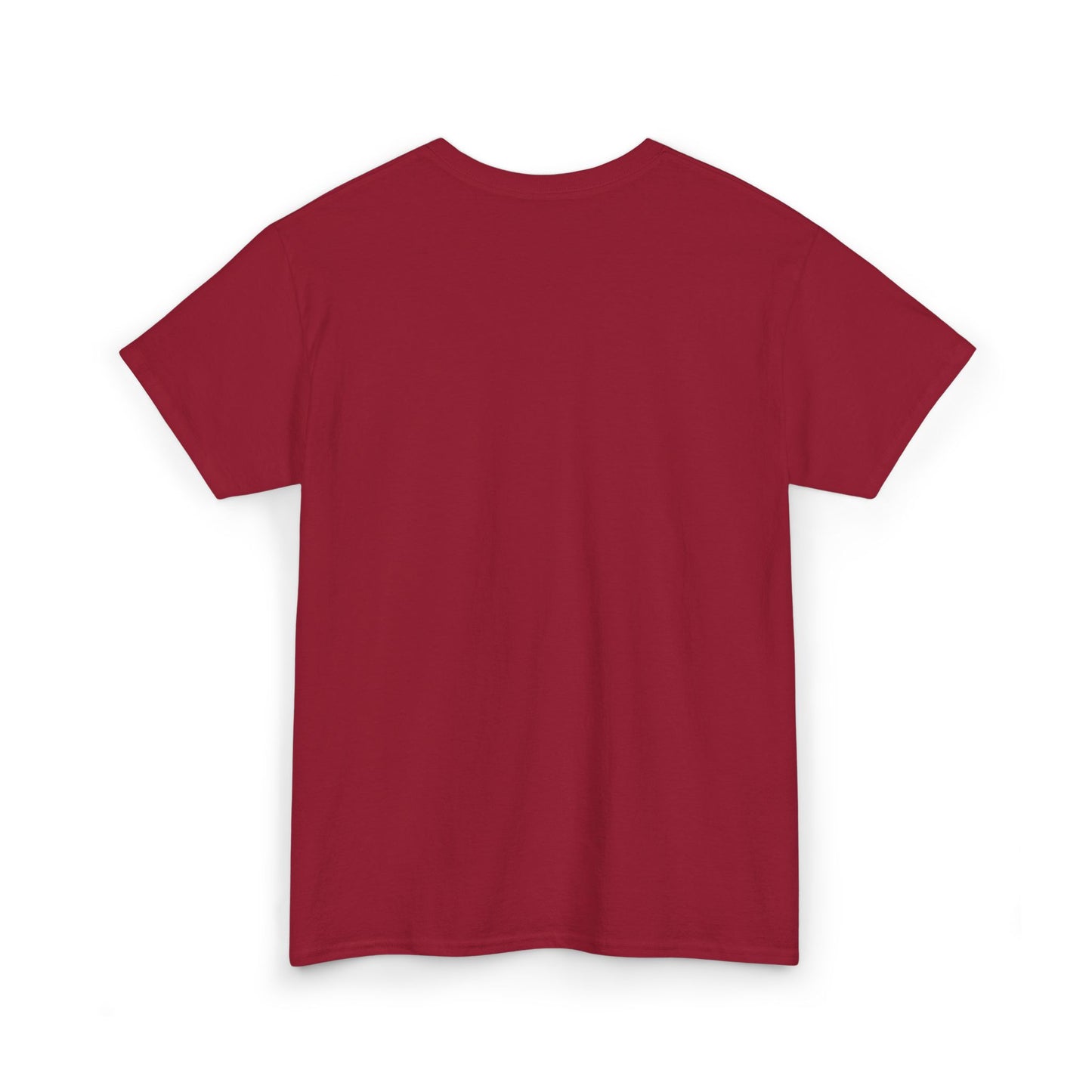 Pride and Prejudice Pemberley Varsity T-Shirt