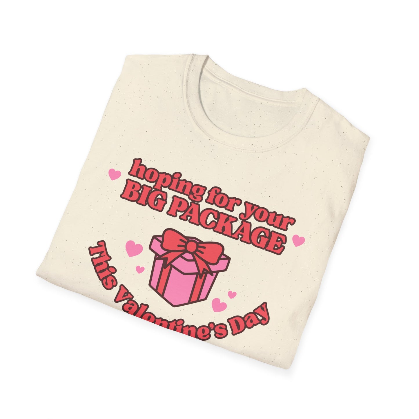 Hoping For Your Big Package T-Shirt