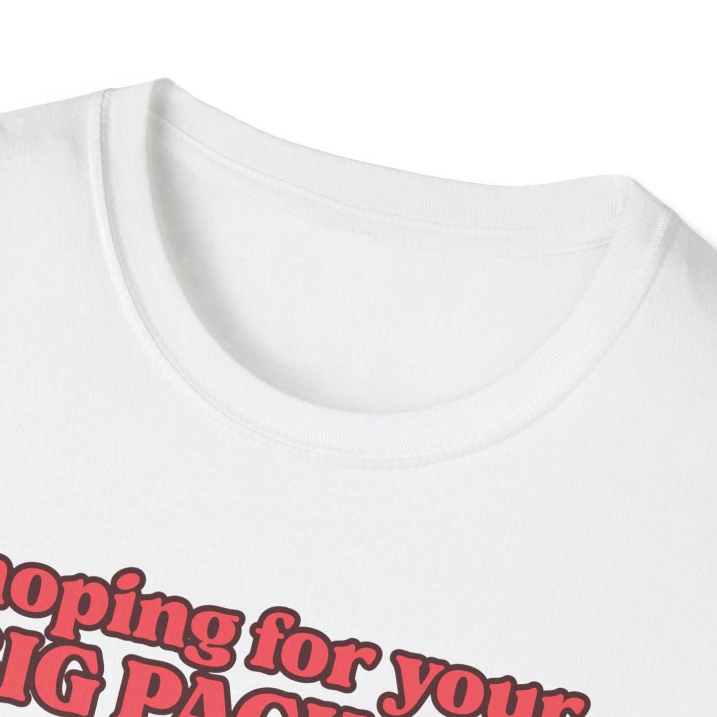 Hoping For Your Big Package T-Shirt