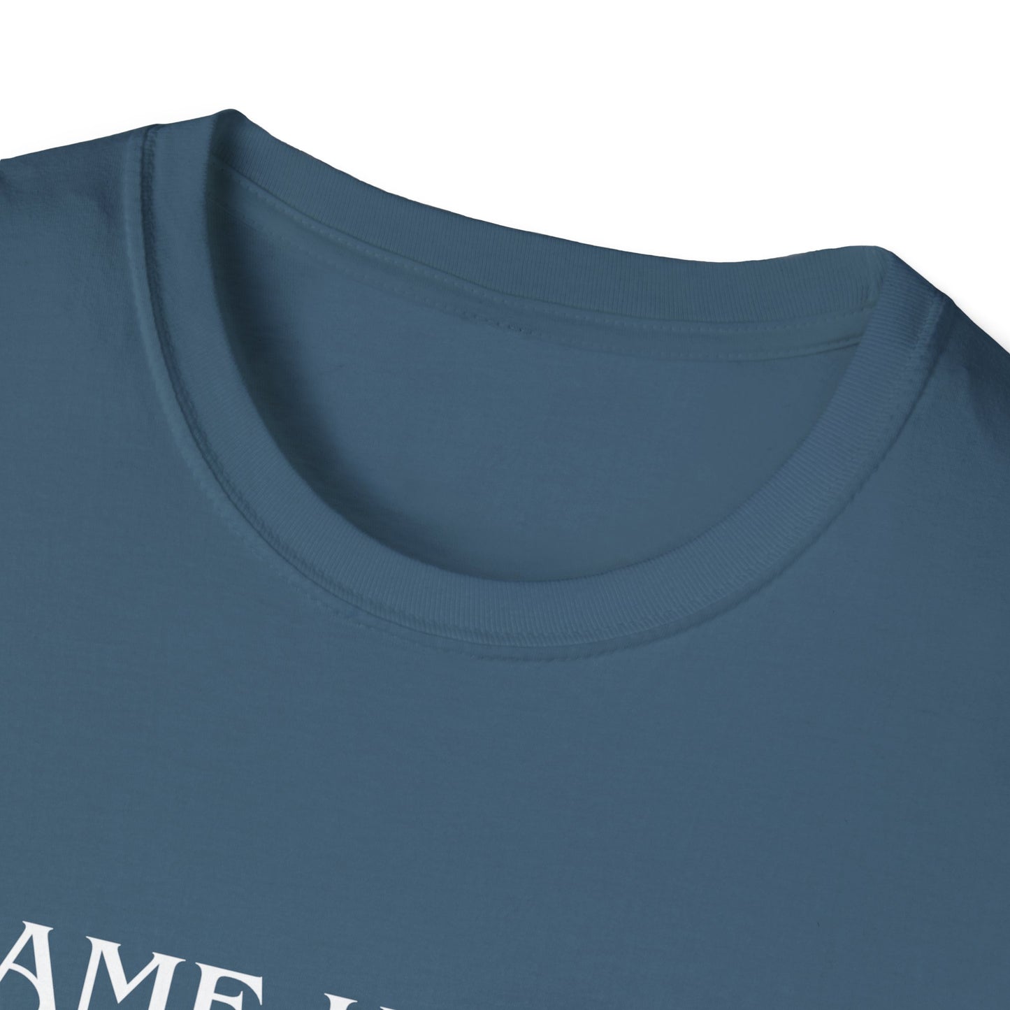 I Came Here to Drink and Fuck T-Shirt