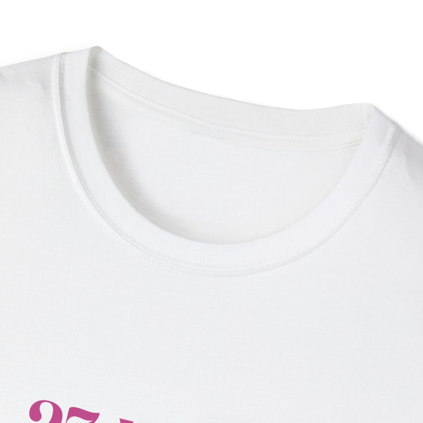 Pride and Prejudice "No Money No Prospects" Quote T-Shirt