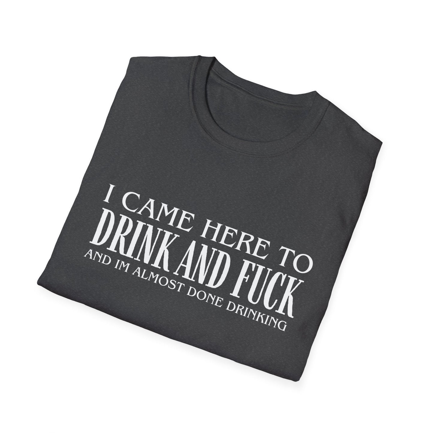 I Came Here to Drink and Fuck T-Shirt