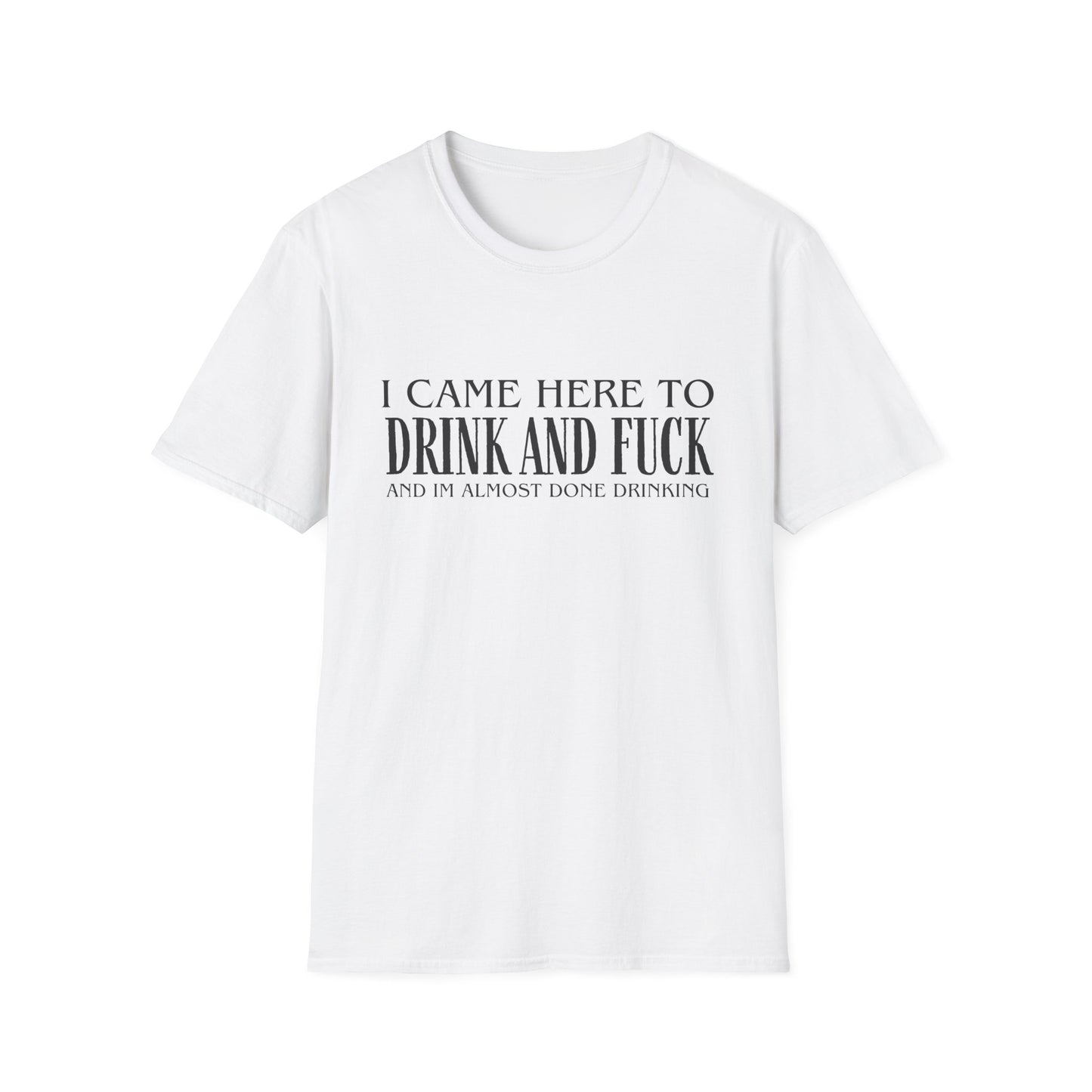 I Came Here to Drink and Fuck T-Shirt