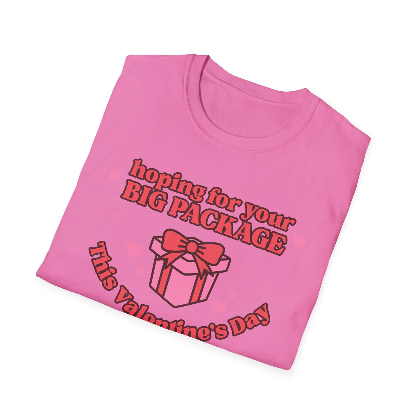 Hoping For Your Big Package T-Shirt
