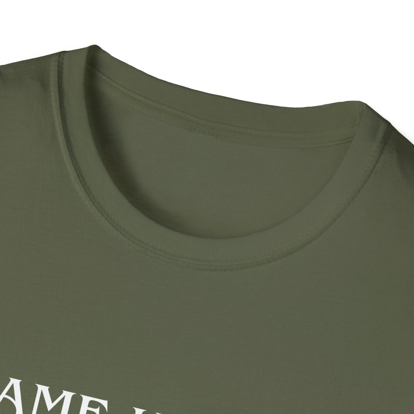 I Came Here to Drink and Fuck T-Shirt