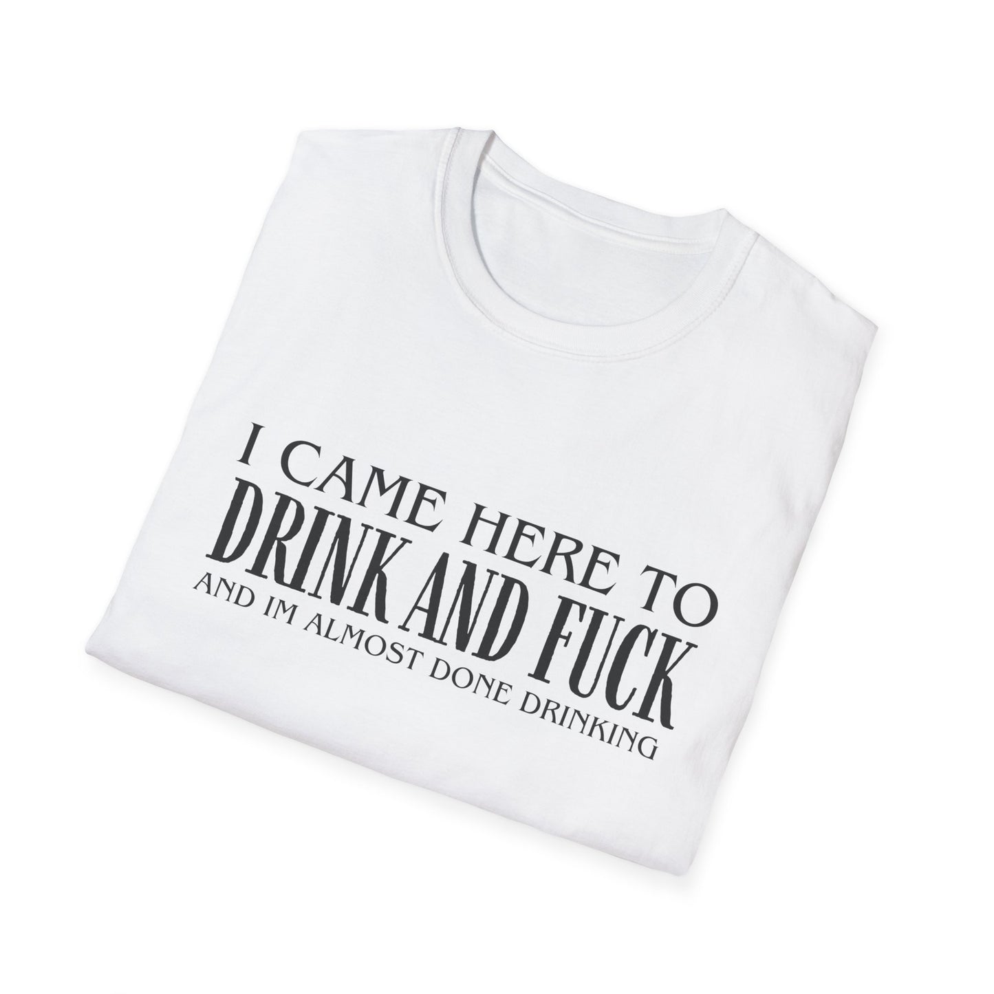 I Came Here to Drink and Fuck T-Shirt