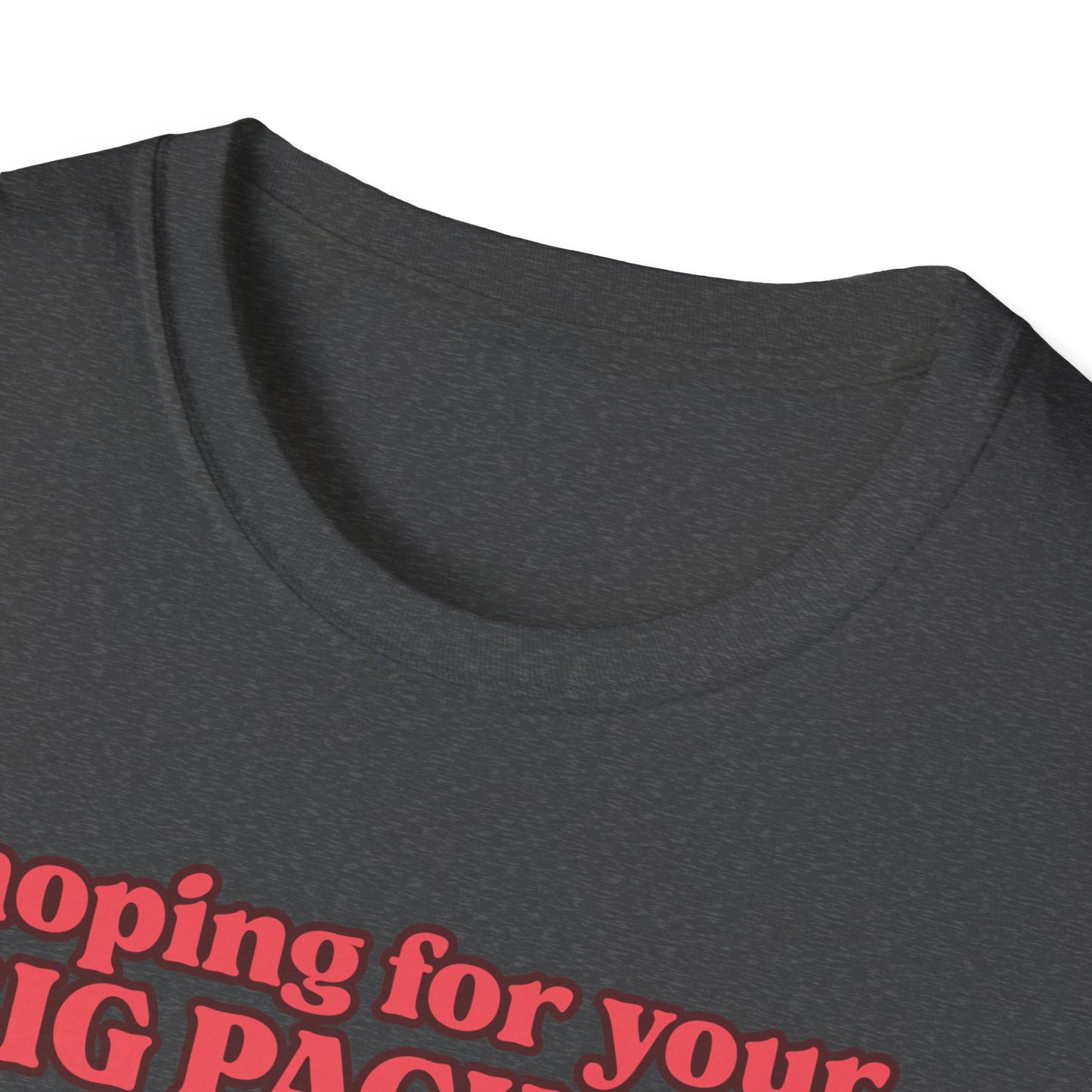 Hoping For Your Big Package T-Shirt