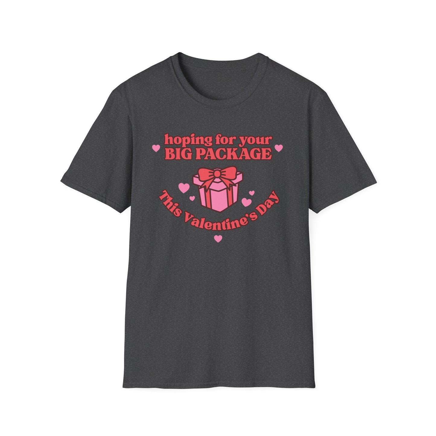 Hoping For Your Big Package T-Shirt