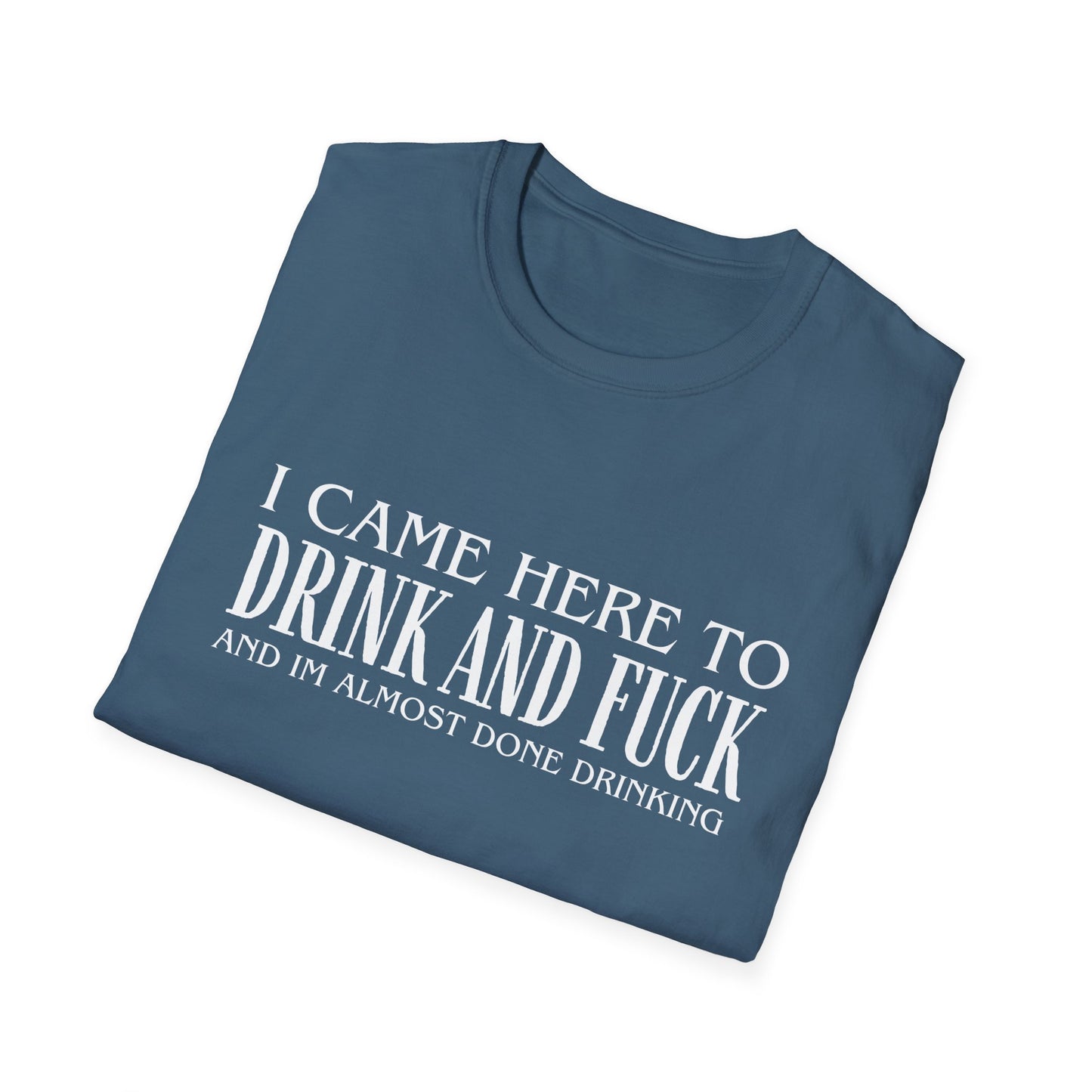 I Came Here to Drink and Fuck T-Shirt