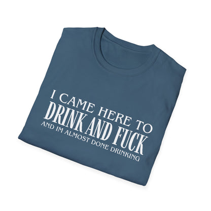 I Came Here to Drink and Fuck T-Shirt