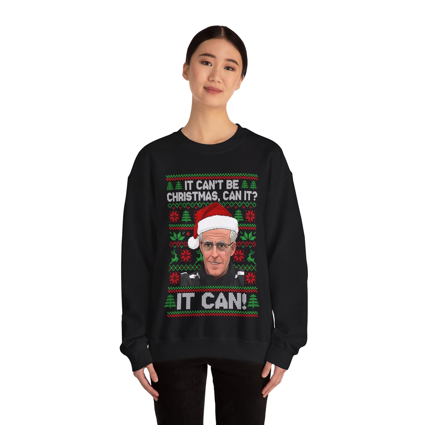 It Can't Be Christmas Can It? Football Christmas Jumper