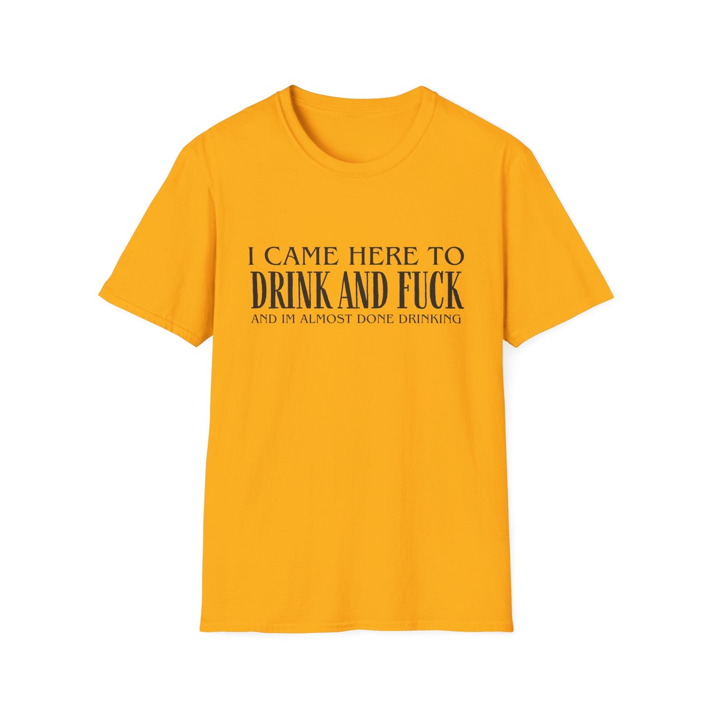 I Came Here to Drink and Fuck T-Shirt