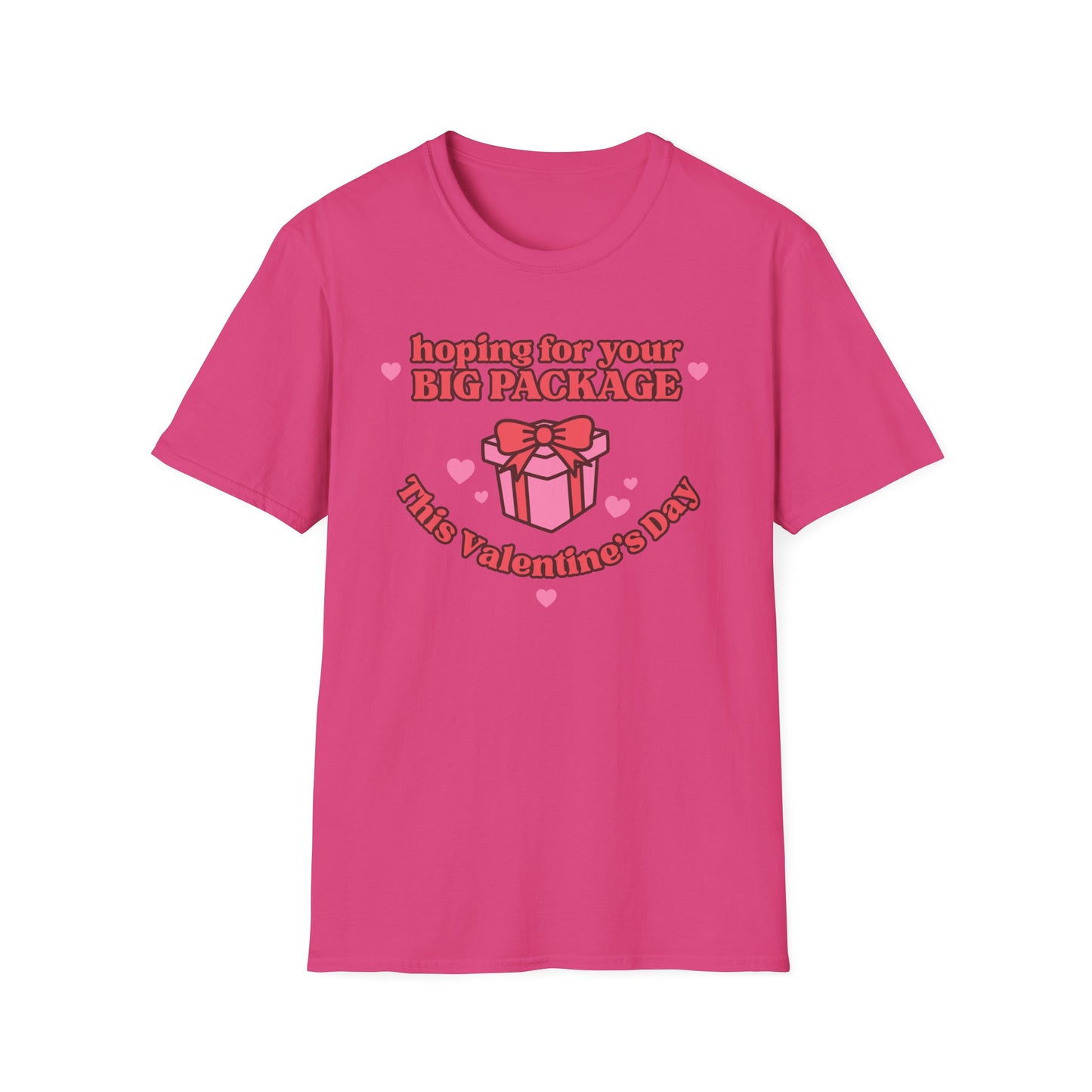 Hoping For Your Big Package T-Shirt