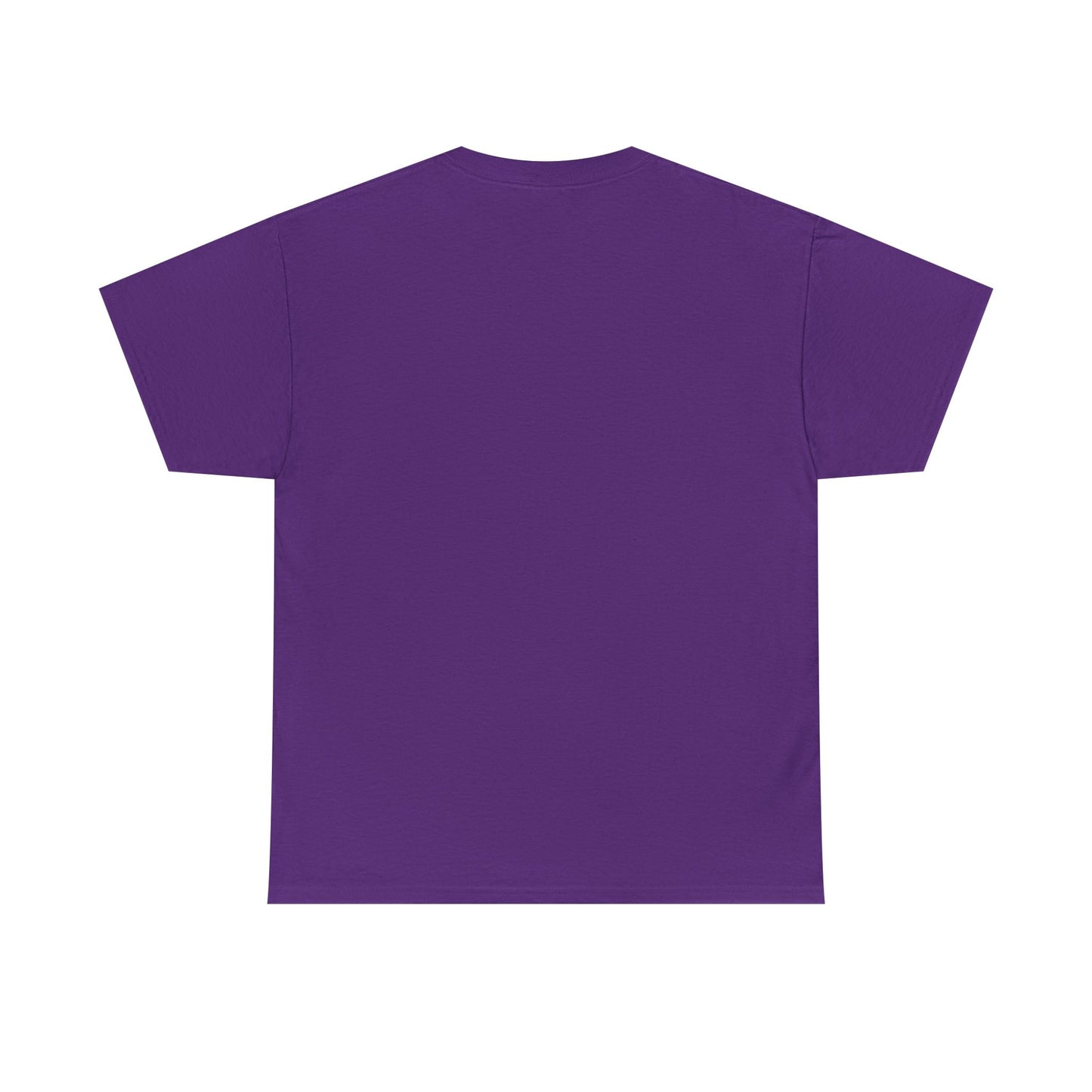 Pride and Prejudice Pemberley Varsity T-Shirt
