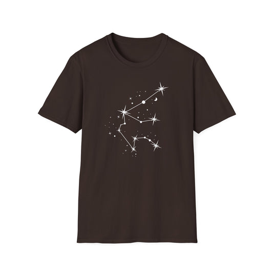 Aquarius Zodiac Constellation T-Shirt